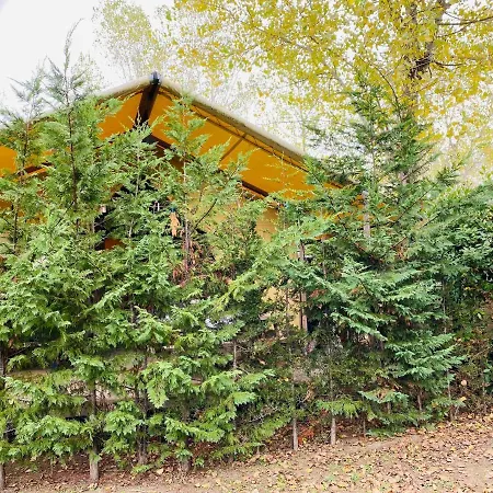 Glamping Tent With Bathroom-tuscany Close To Sea! * Виареджо